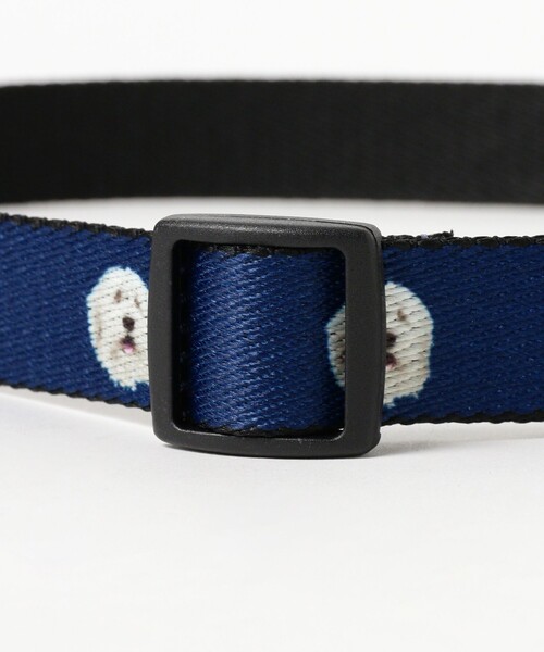 ギラデリベア♡サンフランシスコの上品なくまさん THOMAS BATES / 別注 ドッグ ベルト（ベルト）｜BEAMS BOY（ビームス