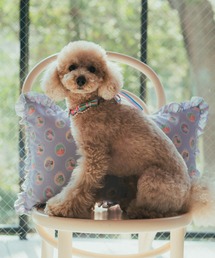 fafa（フェフェ）の「CARLA ROSE|クッション（クッション/クッションカバー）」