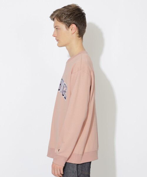 CB CRESTBRIDGE(シービークレストブリッジ)の「ヘッジホッグカレッジプルオーバー(Tシャツ/カットソー・レディース・ネイビー/ピンク系その他2/オフホワイト/オレンジ・3/2/1)」の17枚目の写真