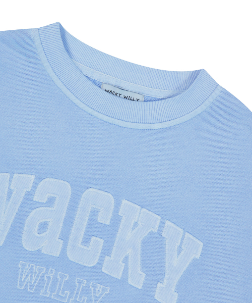 Wacky WiLLy(ワッキーウィリー)の「ウィメンズセミオーバーフィットピグメントマンツーマンスカイブルー(スウェット・レディース・その他・F)」の4枚目の写真