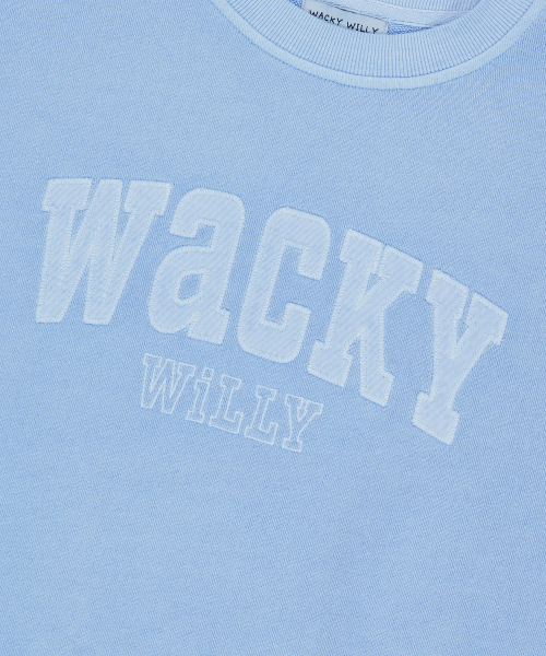 Wacky WiLLy(ワッキーウィリー)の「ウィメンズセミオーバーフィットピグメントマンツーマンスカイブルー(スウェット・レディース・その他・F)」の5枚目の写真