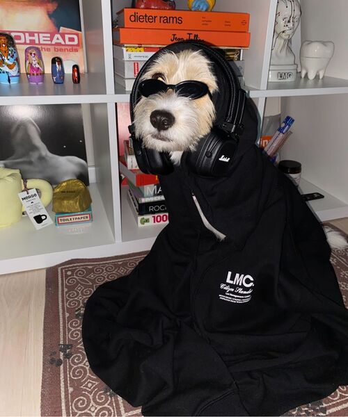 LMCの「FLYING PUPPY HOODIE black(パーカー・レディース・その他・S/M/L/XL)」の5枚目の写真