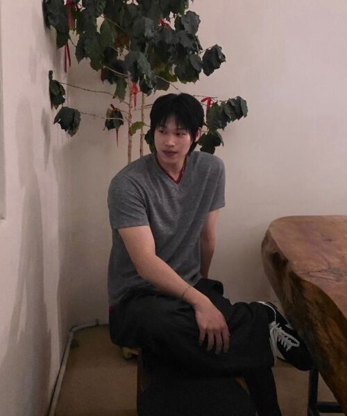 DNSR(ディーエヌエスアール)の「レイヤードVネックハーフTシャツグレー/レッド(Tシャツ/カットソー・メンズ・その他・MEDIUM/LARGE/X-LARGE/XX-LARGE)」の4枚目の写真