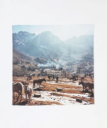 PAPERSKY（ペーパースカイ）の「PAPERSKY Mountain Bandana ペーパースカイ マウンテン バンダナ ハンカチ（バンダナ/スカーフ）」