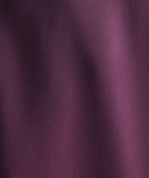 HARE（ハレ）の「【SETUP対応】TOROMIスリットジレ(HARE)（その他アウター・メンズ・ライトグレー/ブラック/パープル・FREE）」の13枚目の写真