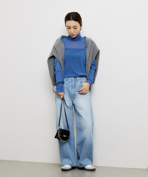 JOURNAL STANDARD（ジャーナルスタンダード）の「《追加》シアーネットハイネックプルオーバー（Tシャツ/カットソー・レディース・ライトグレー/ブラウン系その他/アイボリー/ブルー・FREE）」の12枚目の写真