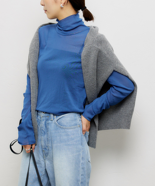 JOURNAL STANDARD（ジャーナルスタンダード）の「《追加》シアーネットハイネックプルオーバー（Tシャツ/カットソー・レディース・ライトグレー/ブラウン系その他/アイボリー/ブルー・FREE）」の17枚目の写真