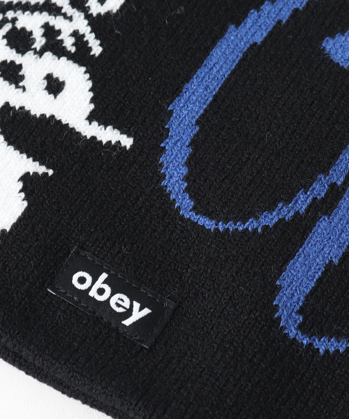 OBEY(オベイ)の「OBEY / オベイ ALL FOR YOU BEANIE(ハット・メンズ・ブラック/グリーン・FREE)」の4枚目の写真