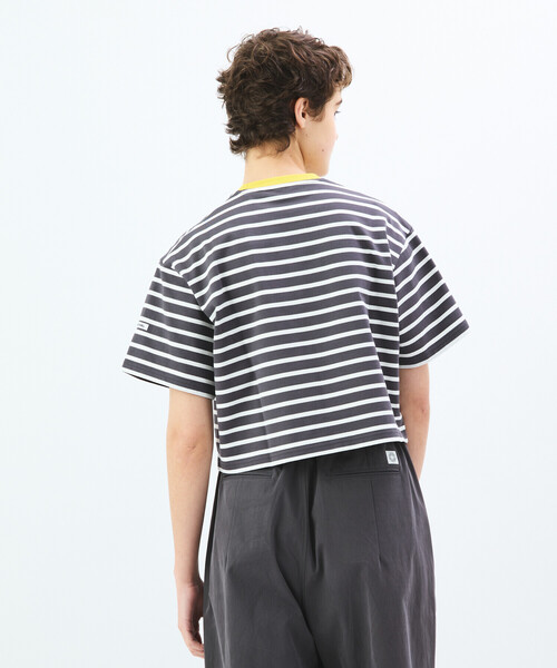 クルーネックコットンTシャツ three dots tシャツ オーガニックコットンニット クルーネックT