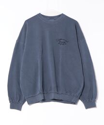 UNDERWRAPS（アンダーラップス）の「ﾋﾟｸﾞﾒﾝﾄ裏毛PO(M3)（Tシャツ/カットソー）」