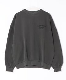 UNDERWRAPS（アンダーラップス）の「ﾋﾟｸﾞﾒﾝﾄ裏毛PO(M3)（Tシャツ/カットソー）」