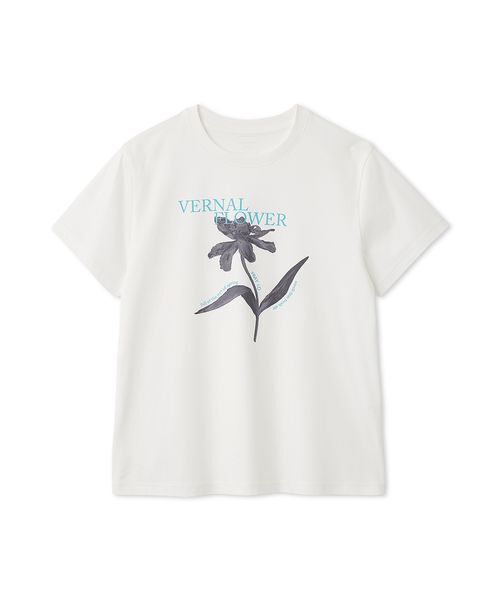 FRAY I.D(フレイアイディー)の「コンパクトフラワープリントTシャツ(Tシャツ/カットソー・レディース・イエロー/ホワイト/ライトブルー・F)」の2枚目の写真