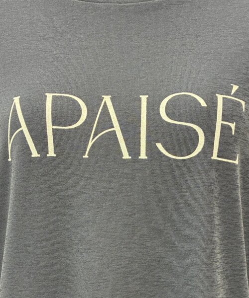 Jena espace merveilleux（ジェナ　エスパスメルヴェイユ）の「シアーロゴカットソー（Tシャツ/カットソー・レディース・ベージュ/オフホワイト/チャコールグレー・FREE）」の12枚目の写真