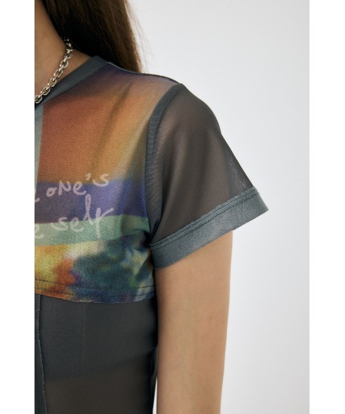MOUSSY（マウジー）の「SHEER SWITCHING PRINT Tシャツ（Tシャツ/カットソー・レディース・ネイビー/グレー・FREE）」の14枚目の写真