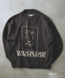 Vintage PEANUTS | PEANUTS by relume / ピーナッツ 別注 ダブル ジャガードニット(ニット/セーター)