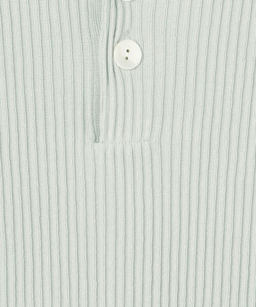GALERIE VIE（ギャルリー ヴィー）の「□ギザコットンリブ ポロカラー
