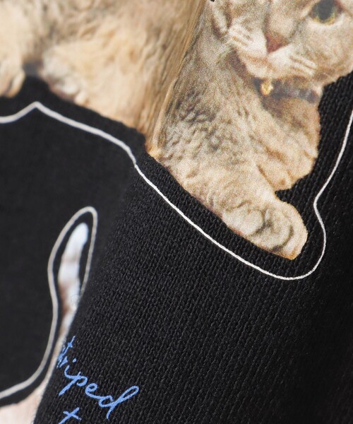BEAMS HEART（ビームスハート）の「ネコ フォト コラージュ Tシャツ（Tシャツ/カットソー・レディース・オフホワイト/ブラック/ホワイト系その他5/ブラック系その他4・FREE）」の17枚目の写真