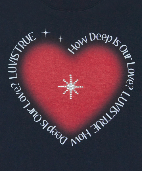 LUVISTRUE(ラヴイズトゥルー)の「TWINKLE HOTFIX CROP TEE(NAVY)(Tシャツ/カットソー・レディース・その他・FREE)」の5枚目の写真