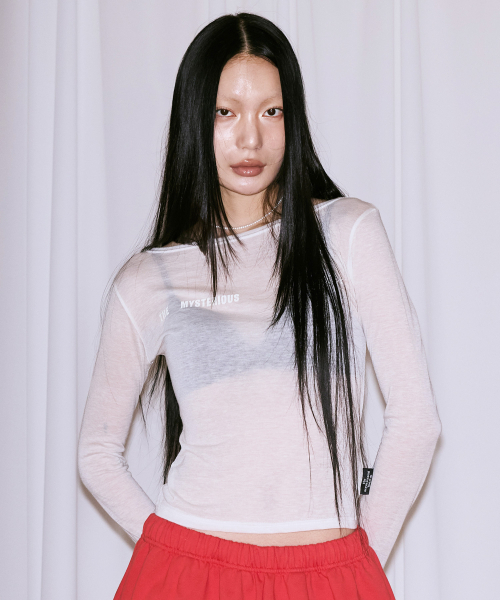 THE MYSTERIOUS HOTEL（ザミステリアスホテル）の「MYSTERIOUS SHEER SLEEVE [IVORY]（Tシャツ/カットソー・レディース・その他・FREE）」の2枚目の写真