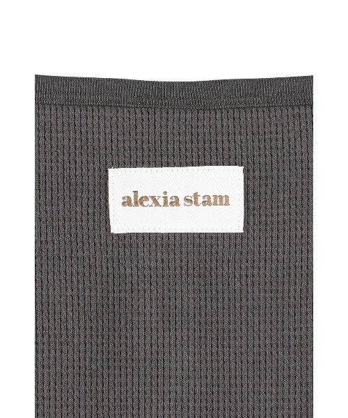 ALEXIA STAM(アリシアスタン)の「Waffle Henley Top /ワッフルヘンリーネックトップス(Tシャツ/カットソー・レディース・ホワイト/チャコールグレー/グレー・FREE)」の13枚目の写真