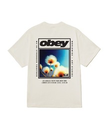 OBEY STRONGER TOGETHER(オベイ ストロンガー トゥギャザー)