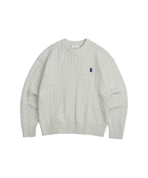 Heavyweight Cable Crew Neck Knit [IVORY]_COOSKT040IVORY