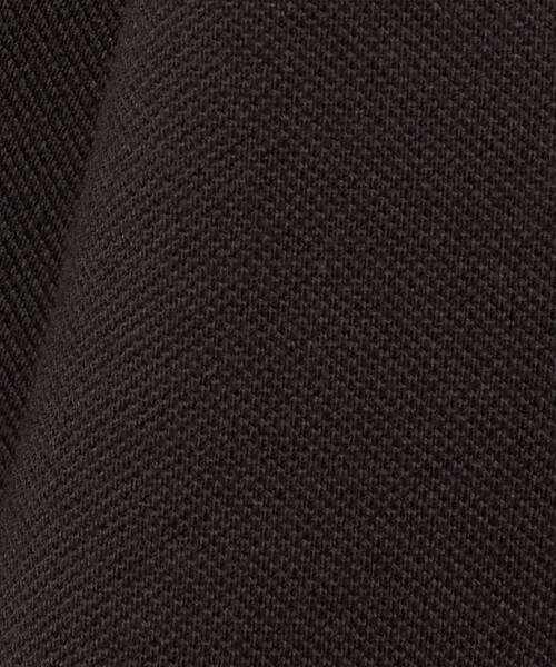 LACOSTE（ラコステ）の「【別注】＜LACOSTE＞ロングスリーブ ピケ スキッパー（ポロシャツ・メンズ・レッド/ダークブラウン/パープル/オフホワイト・6/3/5/4）」の19枚目の写真