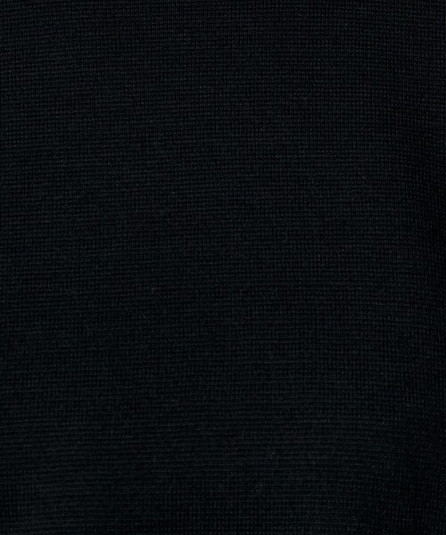 UNTITLED(アンタイトル)の「【アンサンブル可/洗える】ウールミラノリブニット(ニット/セーター・レディース・ホワイト系7/ブラック/レッド系1/オフホワイト/ブラック系4/ブルー系その他/ベージュ系4・03/00/01/02/04/44/48)」の16枚目の写真