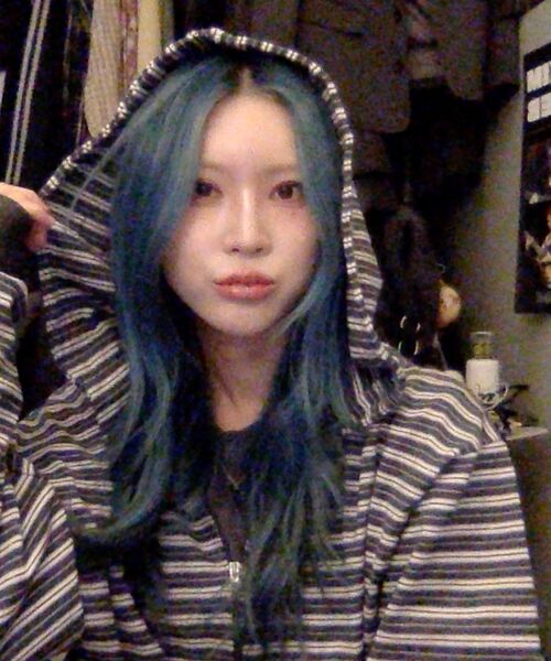 HAVISM(ヘビズム)の「WP STRIPE THIN ZIP UP HOOD(CHARCOAL)(パーカー・レディース・その他・ONE SIZE)」の6枚目の写真
