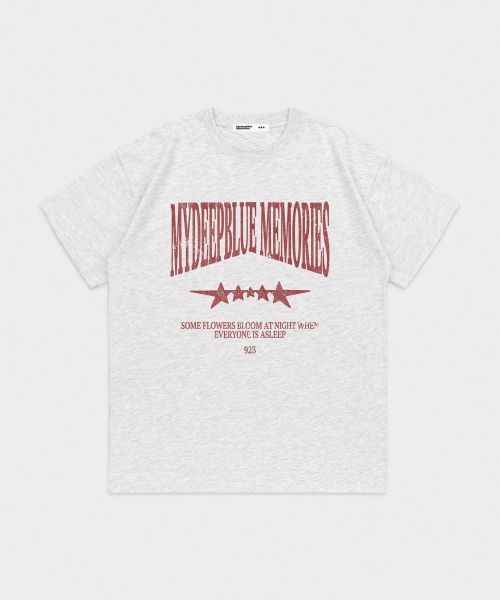 mydeepbluememories(マイディープブルーメモリーズ)の「MM Vintage Crack T-shirt (light melange)(Tシャツ/カットソー・レディース・ライトグレー・1/2)」の5枚目の写真