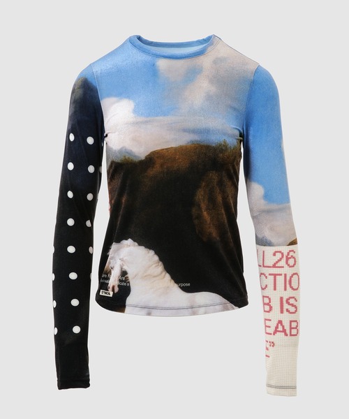 YOHEI OHNO(ヨウヘイオオノ)の「Graphic Mesh Velour Top(Tシャツ/カットソー・レディース・A/D/B/C・36)」の2枚目の写真