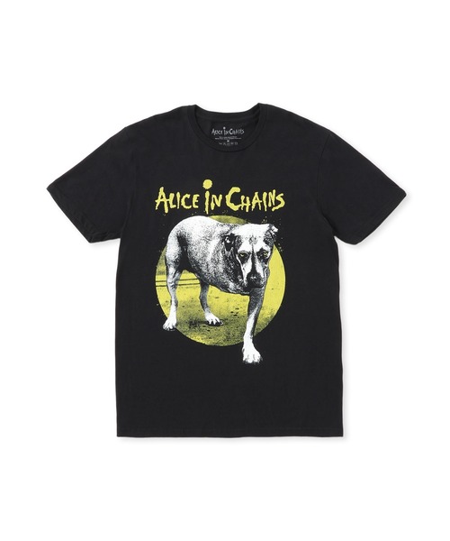 希少美品 ボンジュールレコーズ サイレントポエツ × ジェリー鵜飼 Tシャツ F 希少美品 ボンジュールレコーズ サイレントポエツ × ジェリー