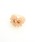 an meets zakka�i�A���~�c�U�b�J�j�́uan meets zakka �R���r�t�����[���W�������O(14��)�i�����O�j�v�b�s���N