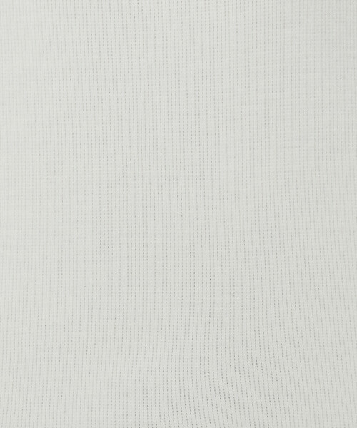 Gabardine K.T(ギャバジンケーティー)の「〔 +サイズ 〕 ニットコール タートル(Tシャツ/カットソー・レディース・オフホワイト/ライトグレー/ネイビー・13号)」の19枚目の写真