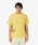 LACOSTE�i���R�X�e�j�́u�S���t�O���t�B�b�N�o�b�N�v�����g�E���g���h���CT�V���c�iT�V���c/�J�b�g�\�[�j�v�b�C�G���[