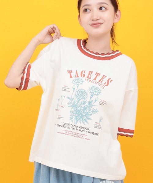 チチカカ(チチカカ)の「Orale! うねうねリンガーリブTシャツ(Tシャツ/カットソー・レディース・ライトグリーン/アイボリー/ネイビー・FREE)」の1枚目の写真