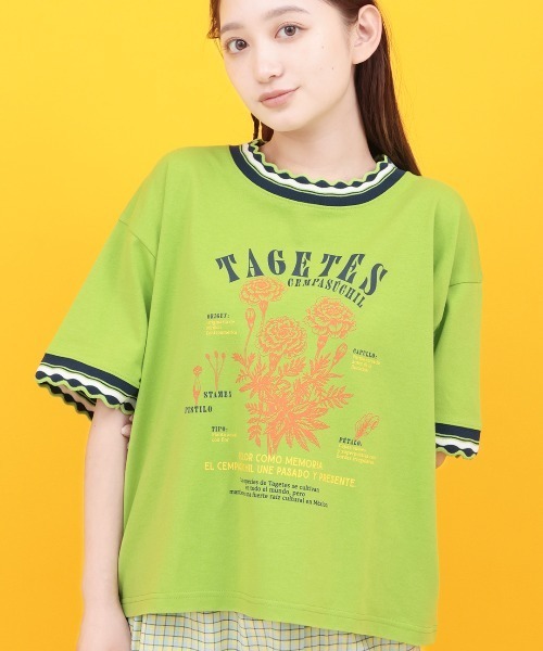チチカカ(チチカカ)の「Orale! うねうねリンガーリブTシャツ(Tシャツ/カットソー・レディース・ライトグリーン/アイボリー/ネイビー・FREE)」の2枚目の写真
