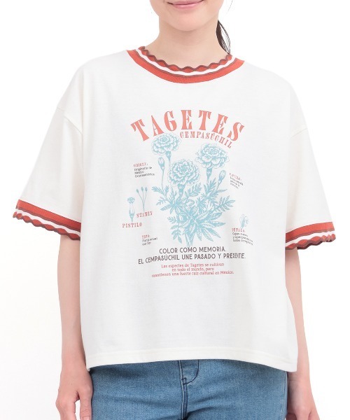 チチカカ(チチカカ)の「Orale! うねうねリンガーリブTシャツ(Tシャツ/カットソー・レディース・ライトグリーン/アイボリー/ネイビー・FREE)」の7枚目の写真
