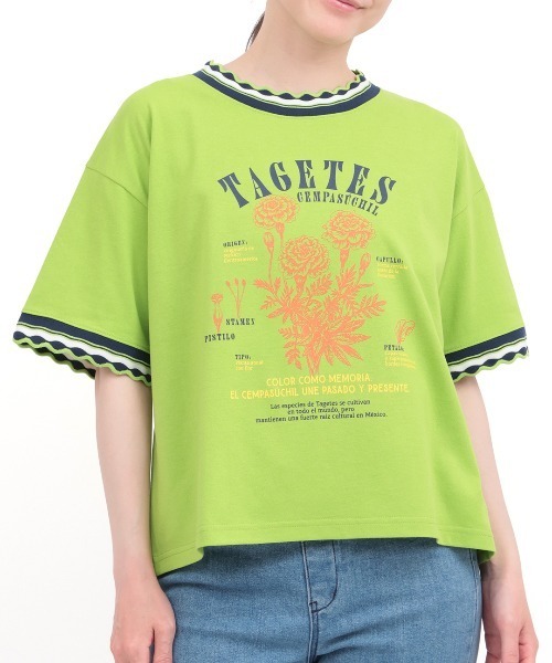 チチカカ(チチカカ)の「Orale! うねうねリンガーリブTシャツ(Tシャツ/カットソー・レディース・ライトグリーン/アイボリー/ネイビー・FREE)」の8枚目の写真