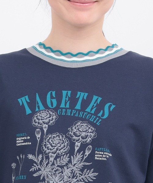 チチカカ(チチカカ)の「Orale! うねうねリンガーリブTシャツ(Tシャツ/カットソー・レディース・ライトグリーン/アイボリー/ネイビー・FREE)」の12枚目の写真