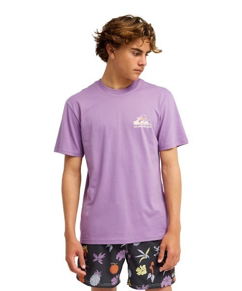 Quiksilver(クイックシルバー)の「クイックシルバー QUIKSILVER OPQS MERRY SS(Tシャツ/カットソー・メンズ・イエロー/ラベンダー・S/M/L/LL)」の14枚目の写真