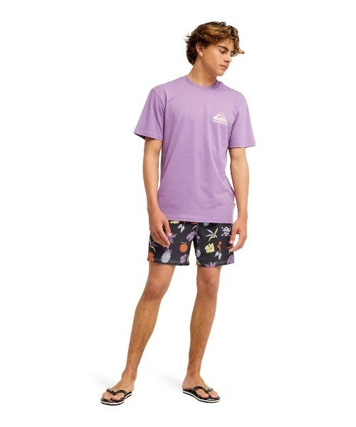 Quiksilver(クイックシルバー)の「クイックシルバー QUIKSILVER OPQS MERRY SS(Tシャツ/カットソー・メンズ・イエロー/ラベンダー・S/M/L/LL)」の12枚目の写真