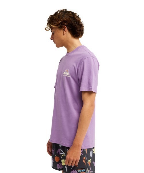 Quiksilver(クイックシルバー)の「クイックシルバー QUIKSILVER OPQS MERRY SS(Tシャツ/カットソー・メンズ・イエロー/ラベンダー・S/M/L/LL)」の7枚目の写真