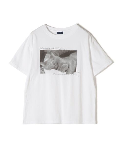 ❤️非売品ソフマップ特典CD★COTTON 100% 全7枚セット全７種コットン ❤️非売品ソフマップ特典CD☆COTTON 100% 全7枚セット全7種