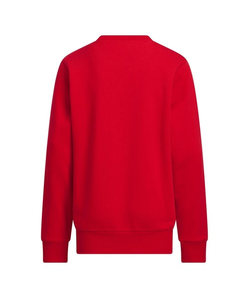 adidas（アディダス）の「アディダス adidas キッズ エッセンシャルズ プラス ルーズフィット ビッグロゴ フレンチテリー スウェットシャツ（スウェット・キッズ・グレー/ブラック/ネイビー/ブルー系その他/ラベンダー/レッド・110cm/120cm/130cm/140cm/150cm/160cm）」の15枚目の写真