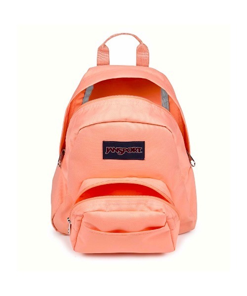 JANSPORT(ジャンスポーツ)の「JANSPORT HALF PINT(ジャンスポーツ ハーフパイント)(バックパック/リュック・メンズ・オレンジ系/グリーン系/ピンク系・FREE)」の15枚目の写真