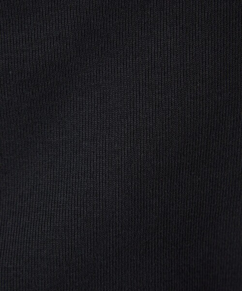 green label relaxing（グリーンレーベルリラクシング）の「デコルテ フライス ロングスリーブ プルオーバー（Tシャツ/カットソー・レディース・ブラック/モカ/オフホワイト/ダークブラウン・FREE）」の6枚目の写真