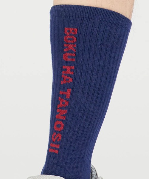 BOKU HA TANOSII/ボクハタノシイ バックロゴパイルクルーソックス