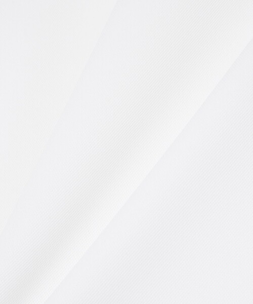 LACOSTE(ラコステ)の「UVカット ウルトラドライ バックプリント鹿の子地Tシャツ(Tシャツ/カットソー・メンズ・ホワイト/ネイビー・3/4/5)」の9枚目の写真