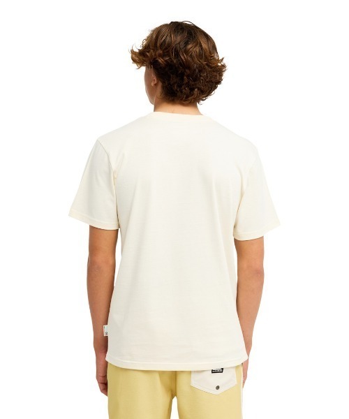Quiksilver(クイックシルバー)の「クイックシルバー QUIKSILVER OPQS WANTED SS(Tシャツ/カットソー・メンズ・ダークグレー/アイボリー・M/L/LL/S)」の13枚目の写真